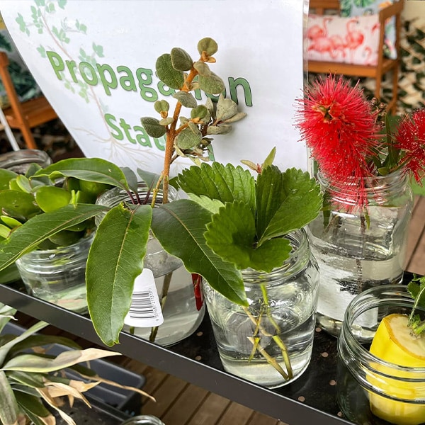 Before and After School Care